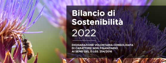 Bilancio di Sostenibilità 2022
